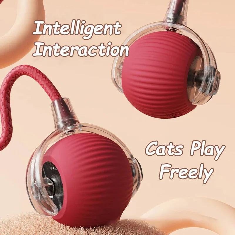 PurrMotion Ball