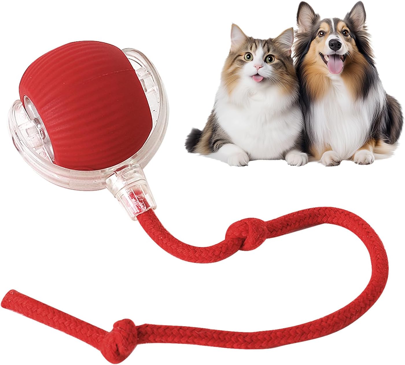 PurrMotion Ball