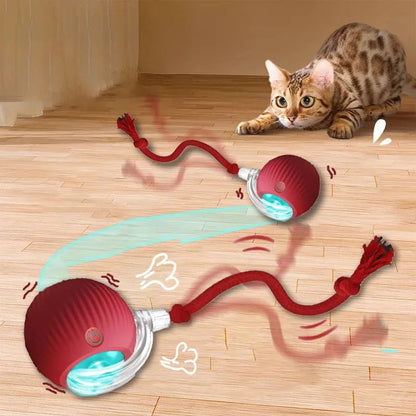 PurrMotion Ball