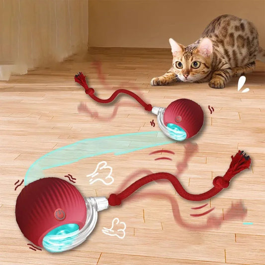 PurrMotion Ball